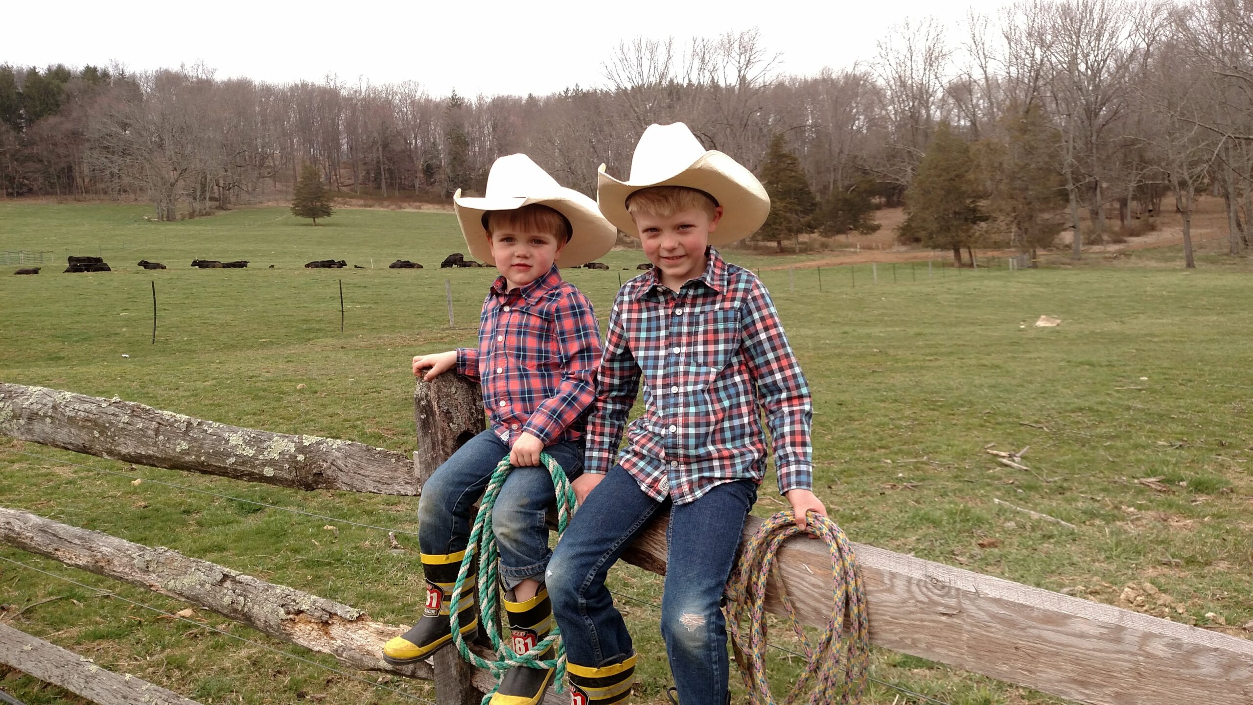 Two young boys wearing cowboy hats and plaid shirts sit on a wooden fence in a rural setting, with a green pasture and cows grazing in the background. The older boy holds a rope, while both boys wear jeans and boots, embodying a playful country lifestyle.