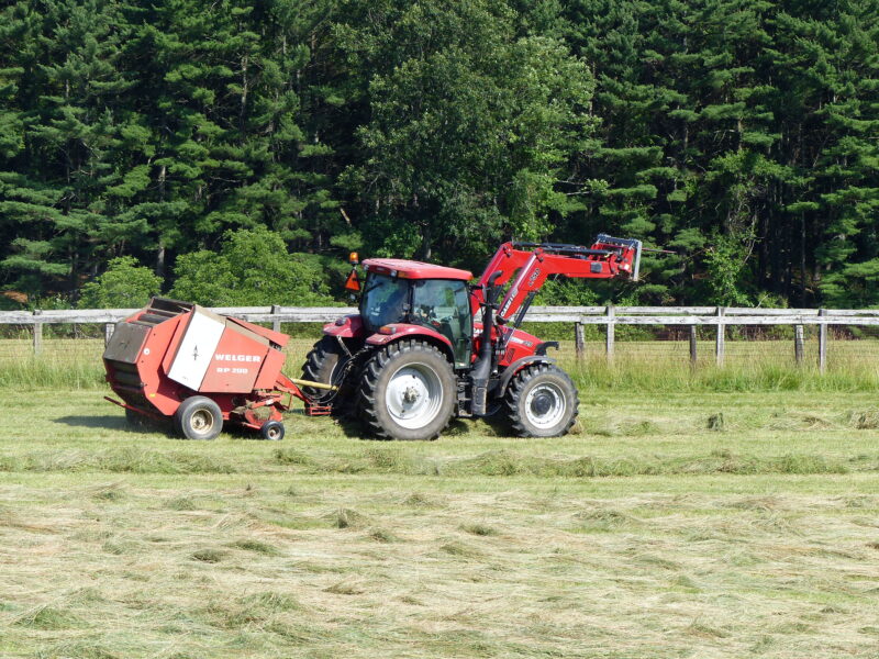 Red tractor operating a Welger RP 200 baler in a lush green field, surrounded by trees and a wooden fence, during sunny weather.